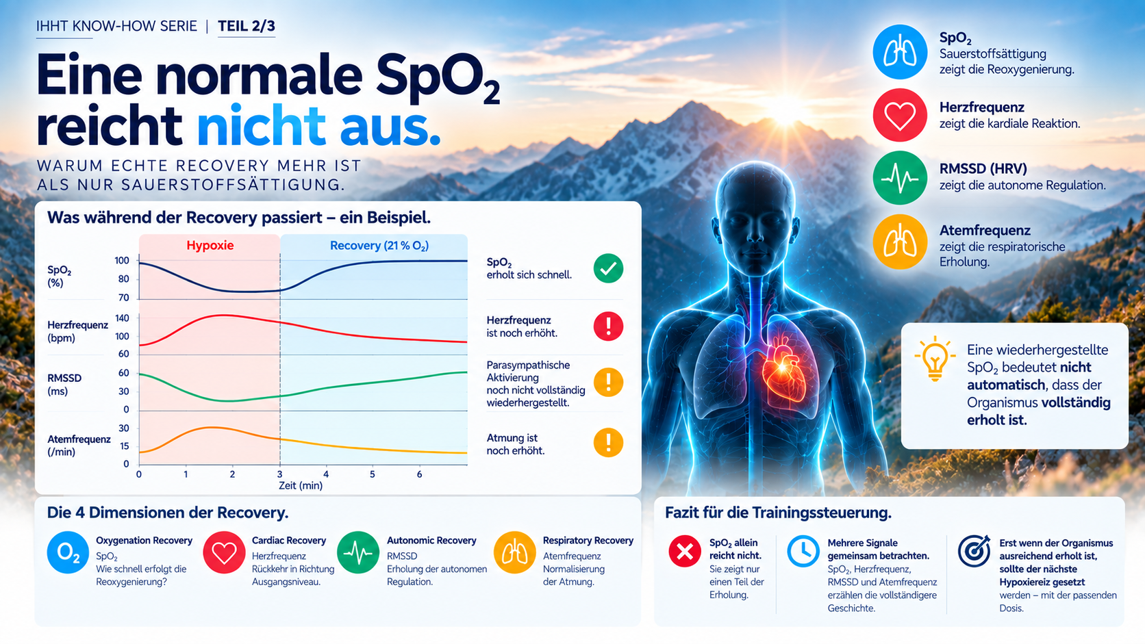 Was während der Recovery passiert: SpO₂, Herzfrequenz, RMSSD und Atemfrequenz im Verlauf